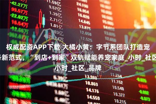 权威配资APP下载 大橘小黄：字节系团队打造宠物服务新范式，“到店+到家”双轨赋能养宠家庭_小时_社区_品牌