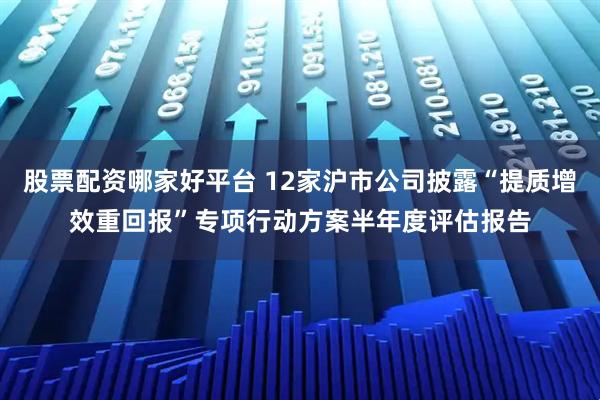 股票配资哪家好平台 12家沪市公司披露“提质增效重回报”专项行动方案半年度评估报告