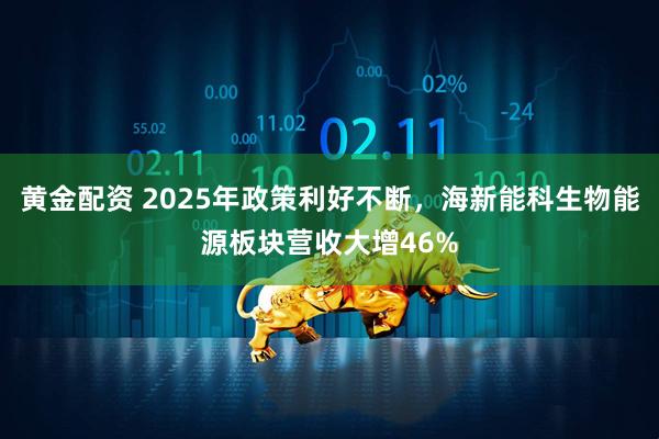黄金配资 2025年政策利好不断，海新能科生物能源板块营收大增46%
