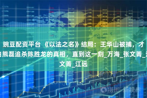 豌豆配资平台 《以法之名》结局：王华山被捕，才明白熊磊追杀陈胜龙的真相，直到这一刻_万海_张文菁_江远